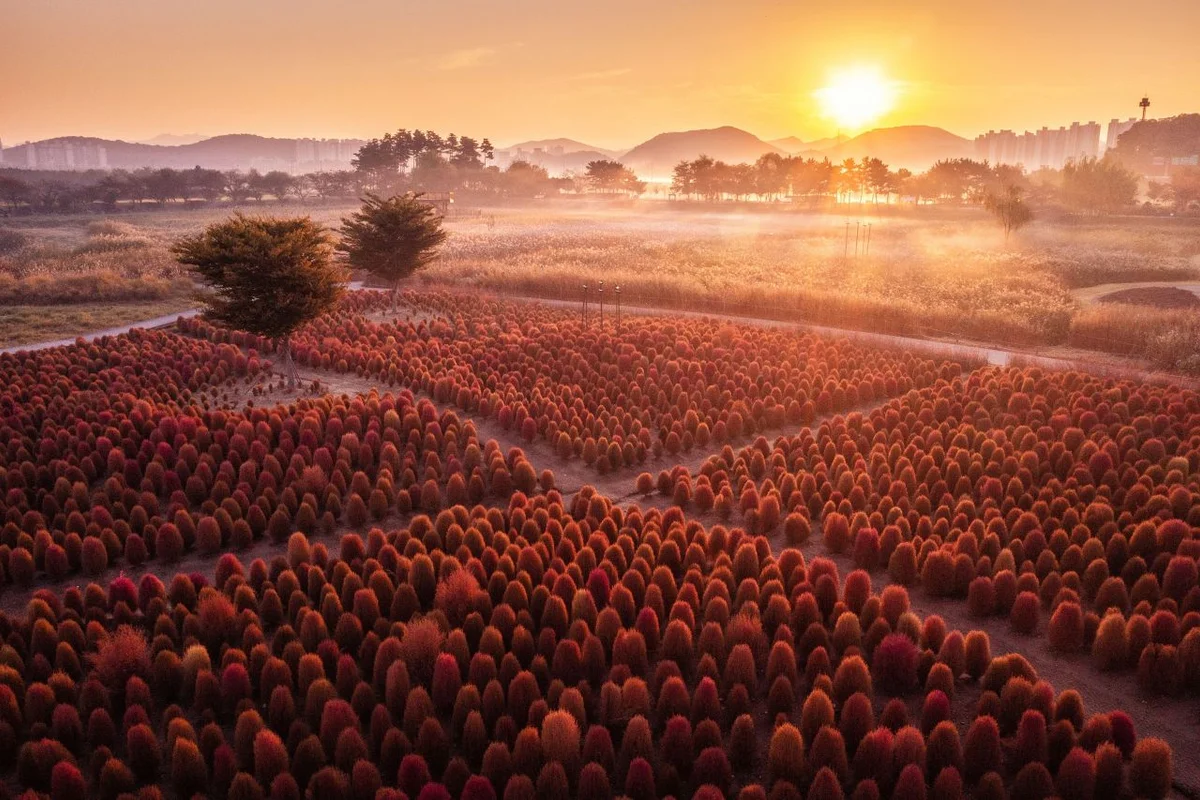 갯골생태공원 - 시흥트레킹 여행