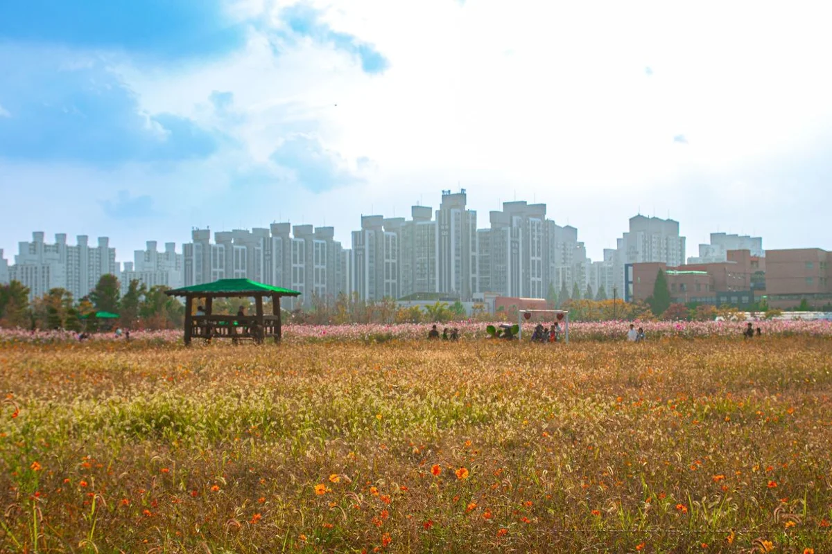 계양꽃마루 - 계양구 여행