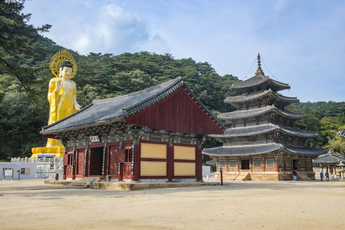 속리산 숲체험휴양마을 - 보은여행 여행