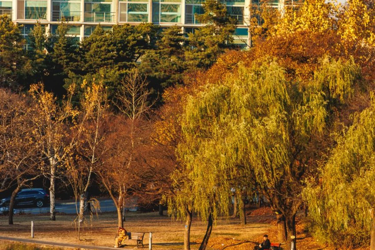 관악산둘레길 - 관악산책로 여행