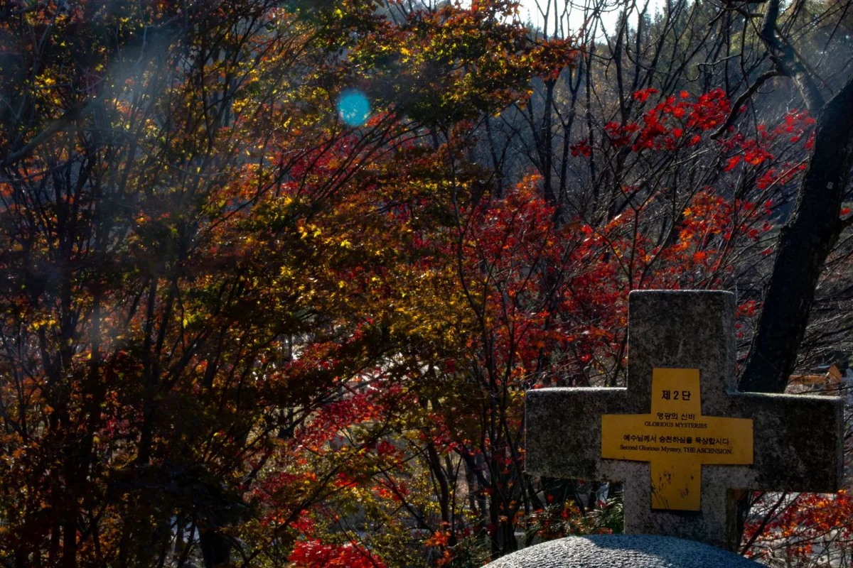 주렁주렁 동물원 동탄점 - 화성여행 여행