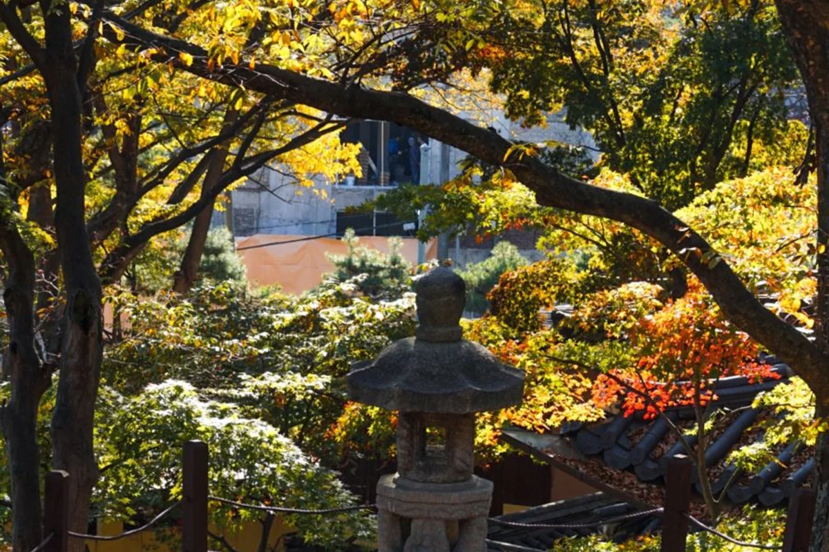 성북 아기랑 가볼만한곳: 장위행복누림 공동육아방 - 성북구 여행