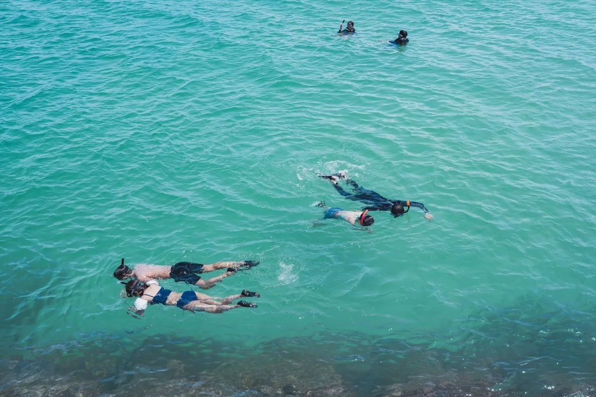 양양서피비치 스노클링 (출처 : 한국관광공사)