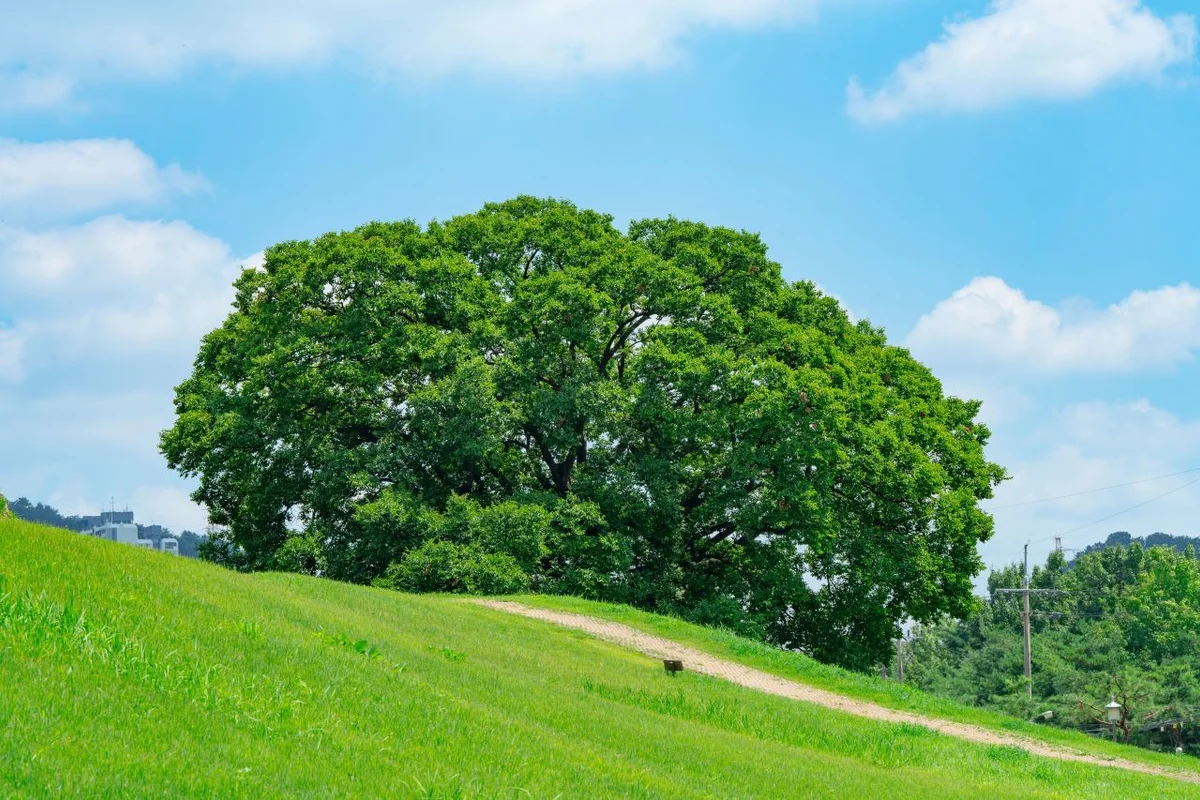 김해 모텔 (출처 : 한국관광공사)