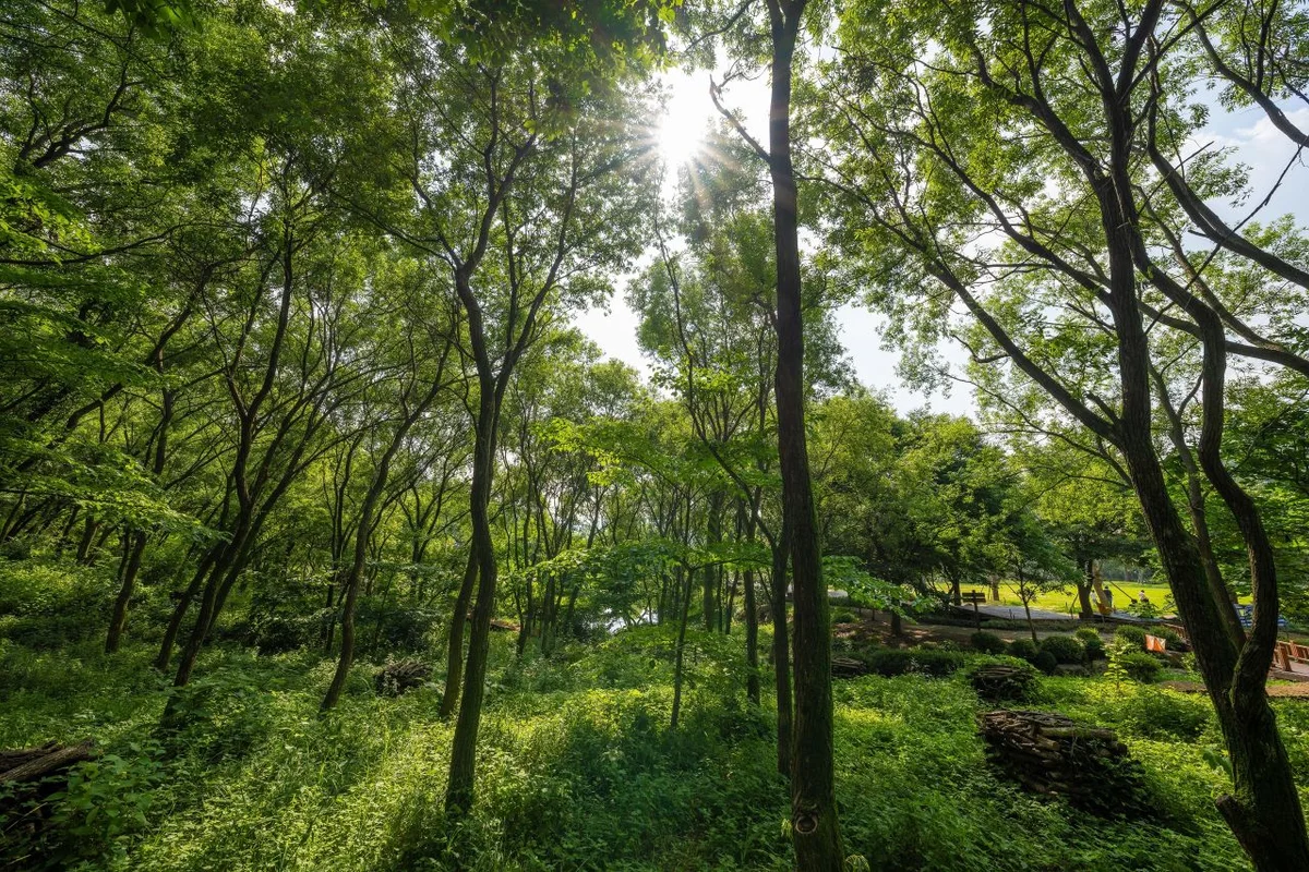 용인자연휴양림 - 용인단체여행 여행