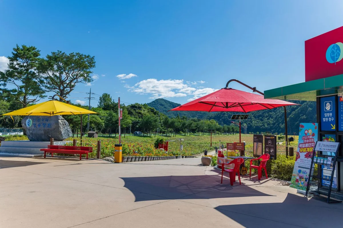 산소카페 청송정원 - 청송여행 여행