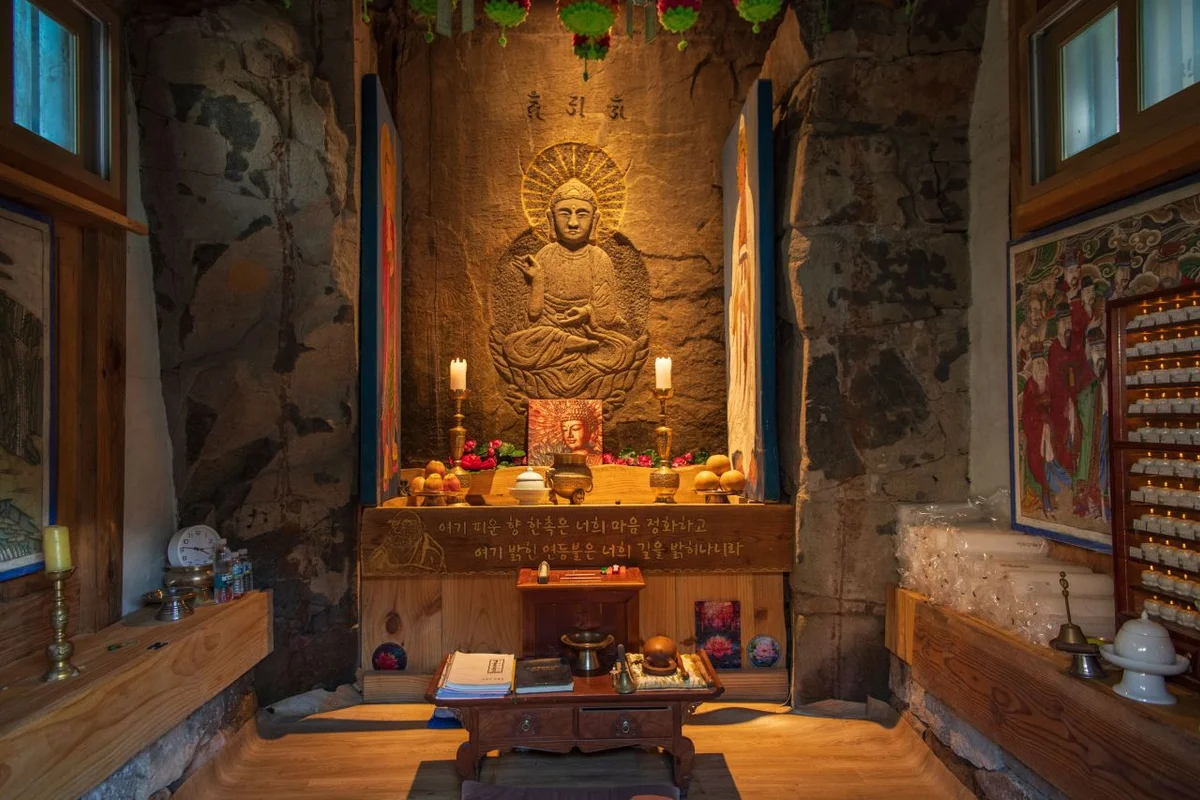 숲속의베리팜 - 화순군 여행