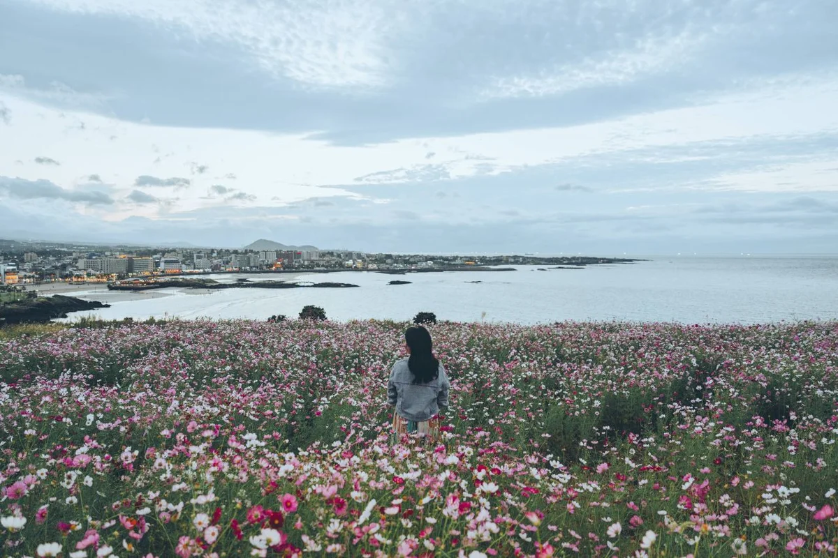 서우봉 - 함덕여행 여행