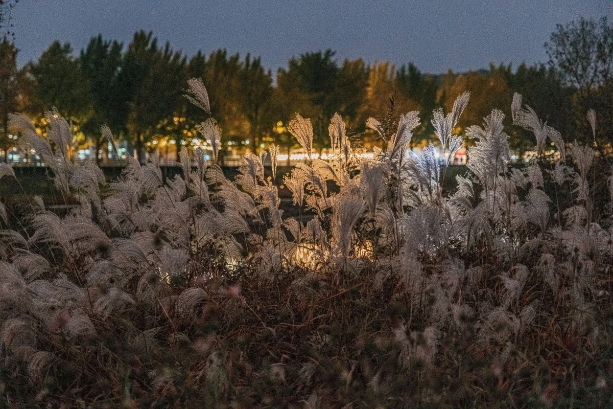 아산 야간 명소 (출처 : 한국관광공사)