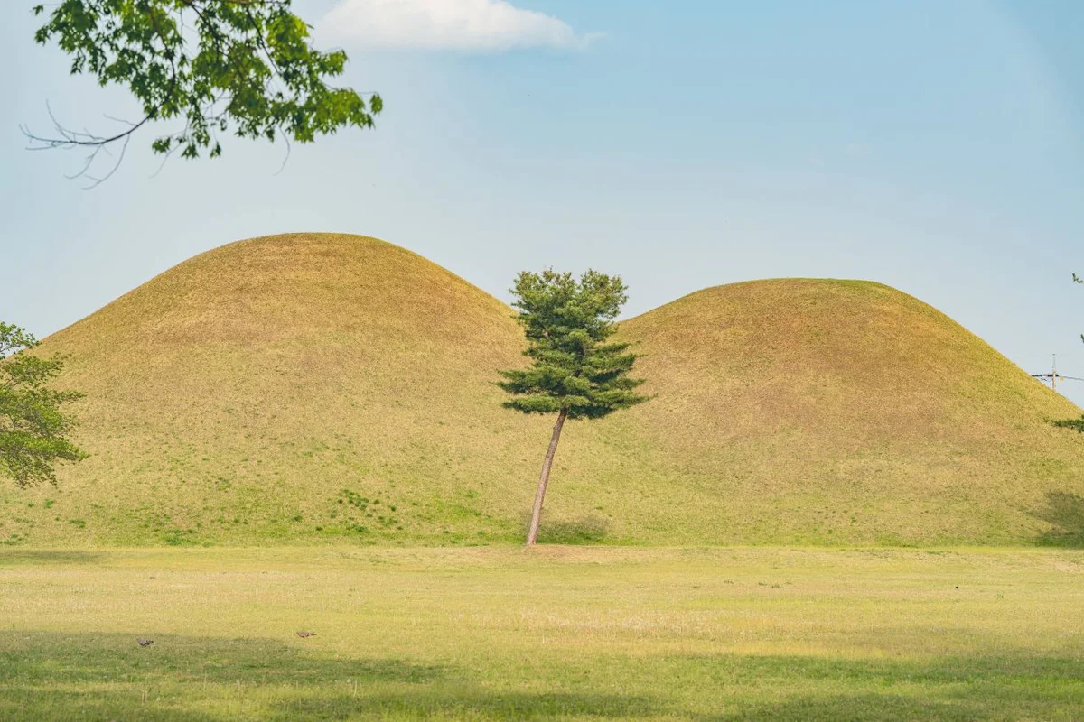 대전 오월드 - 대전여행 여행