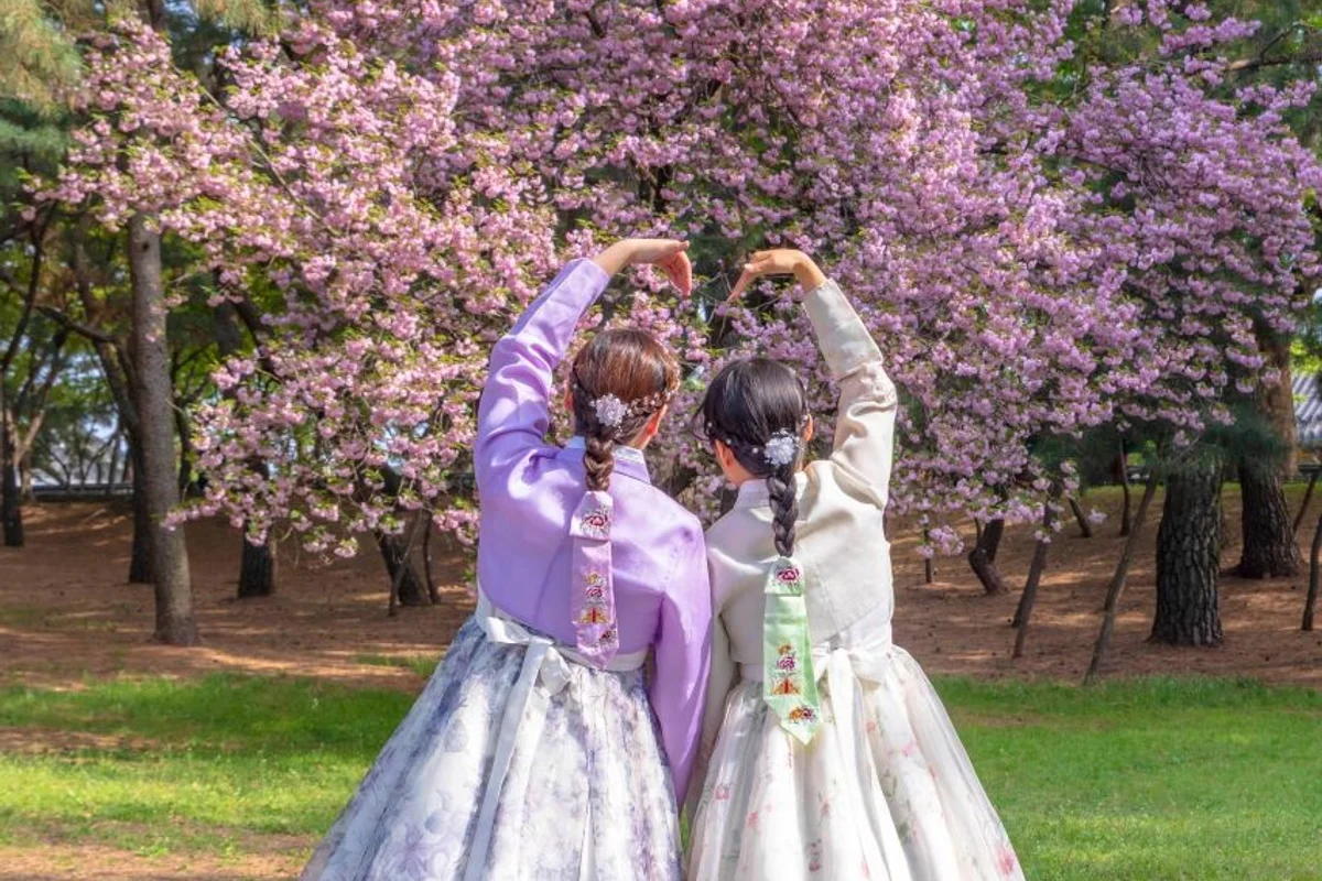 대릉원돌담길 - 경주벚꽃 여행