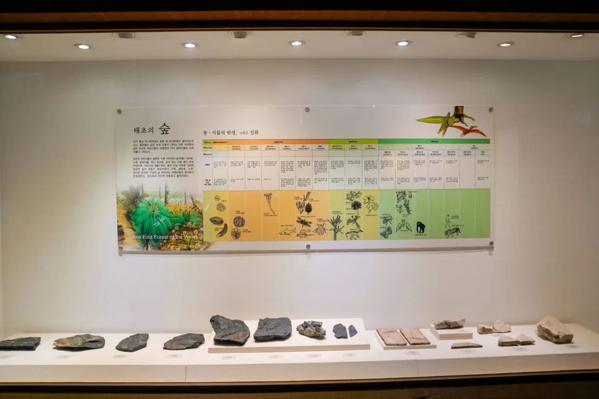 청주시립대청호미술관 - 충북여행 여행