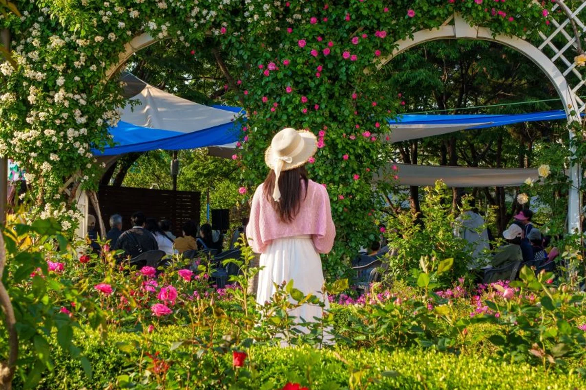 용마산 - 중랑구 여행