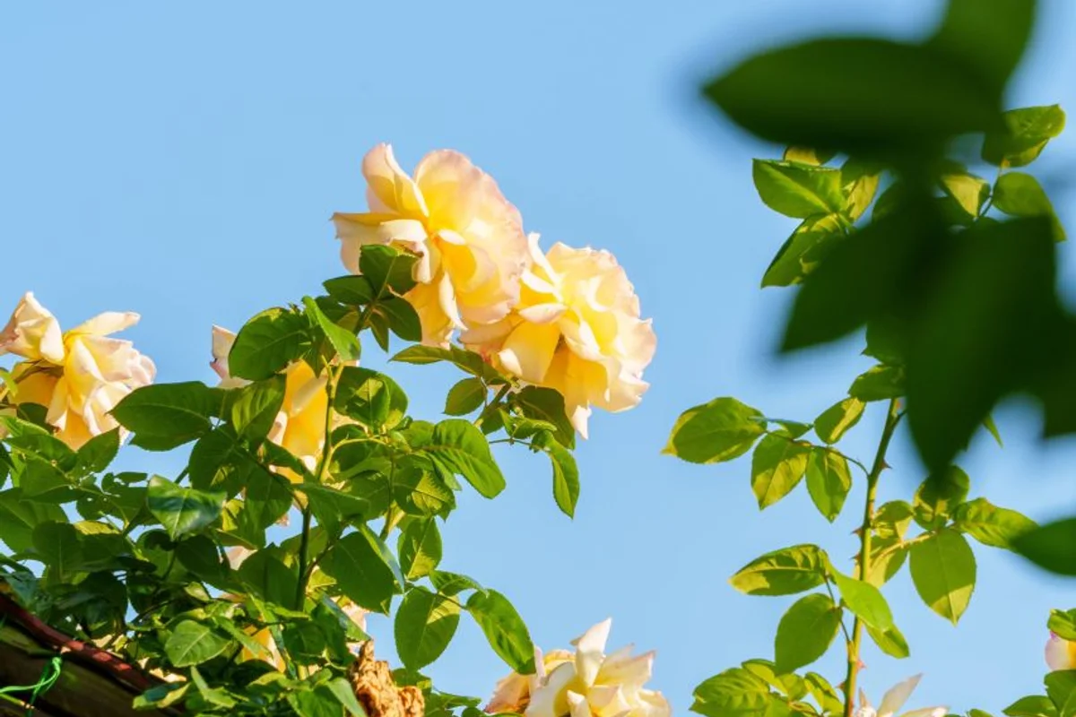 중랑가족캠핑장 - 중랑구여행 여행