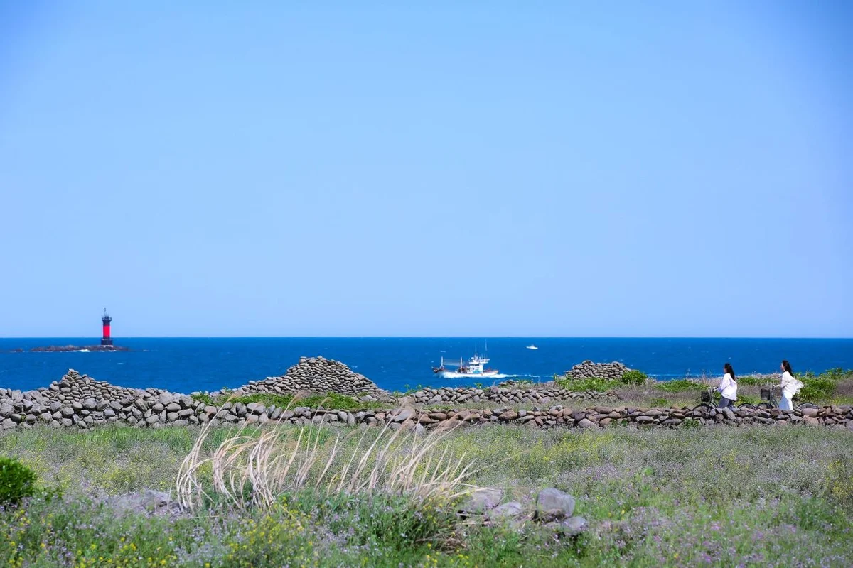 전주 이팝나무 축제 - 전북여행 여행
