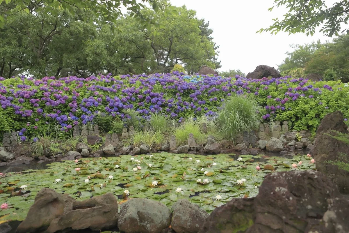 제주 동쪽 여행 (출처 : 한국관광공사)