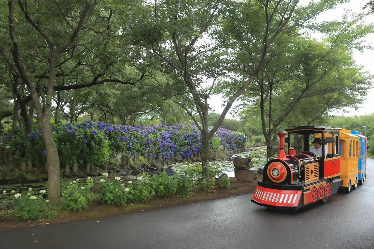 빛의 벙커 - 제주동쪽여행 여행