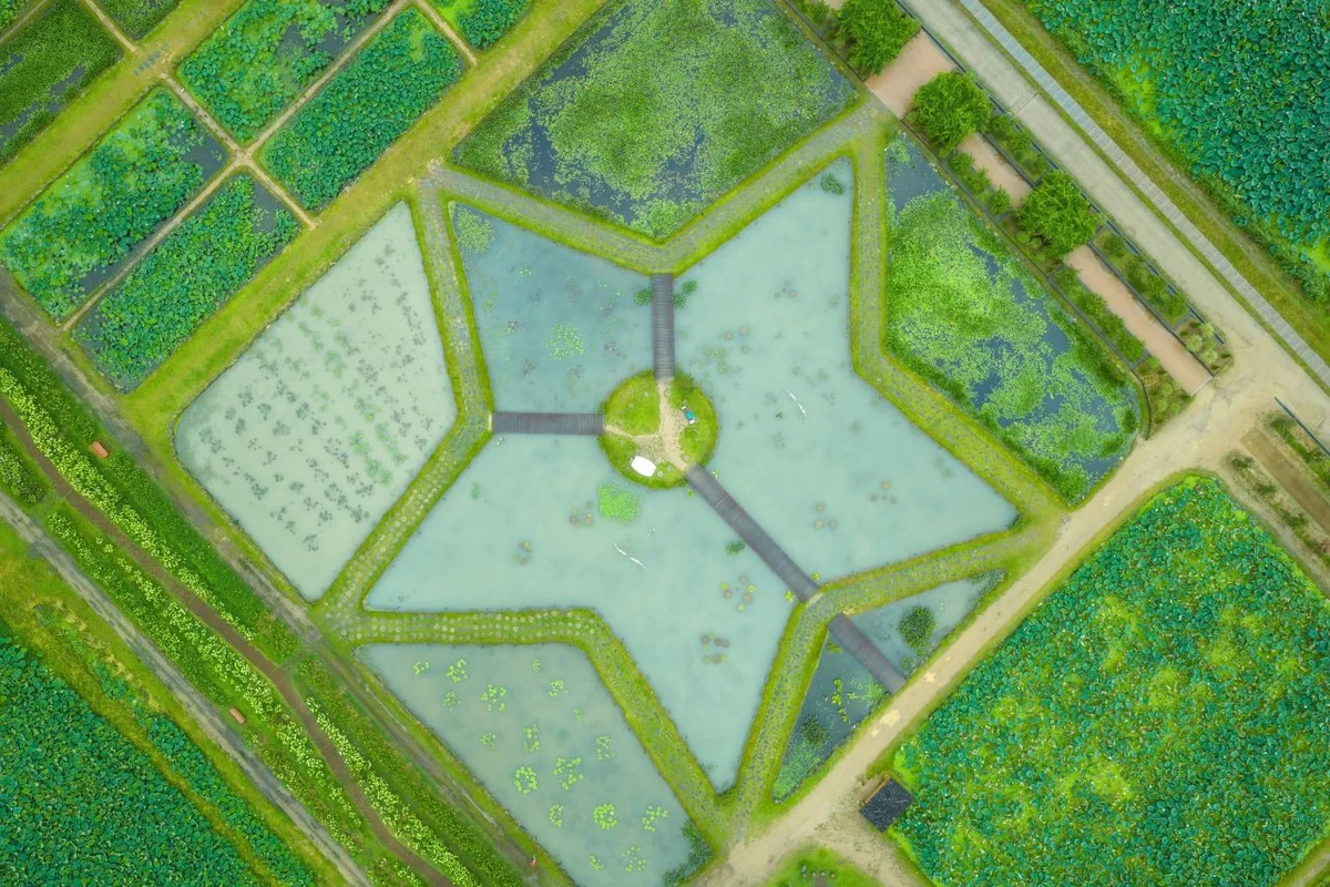 연꽃테마파크 - 시흥트레킹 여행