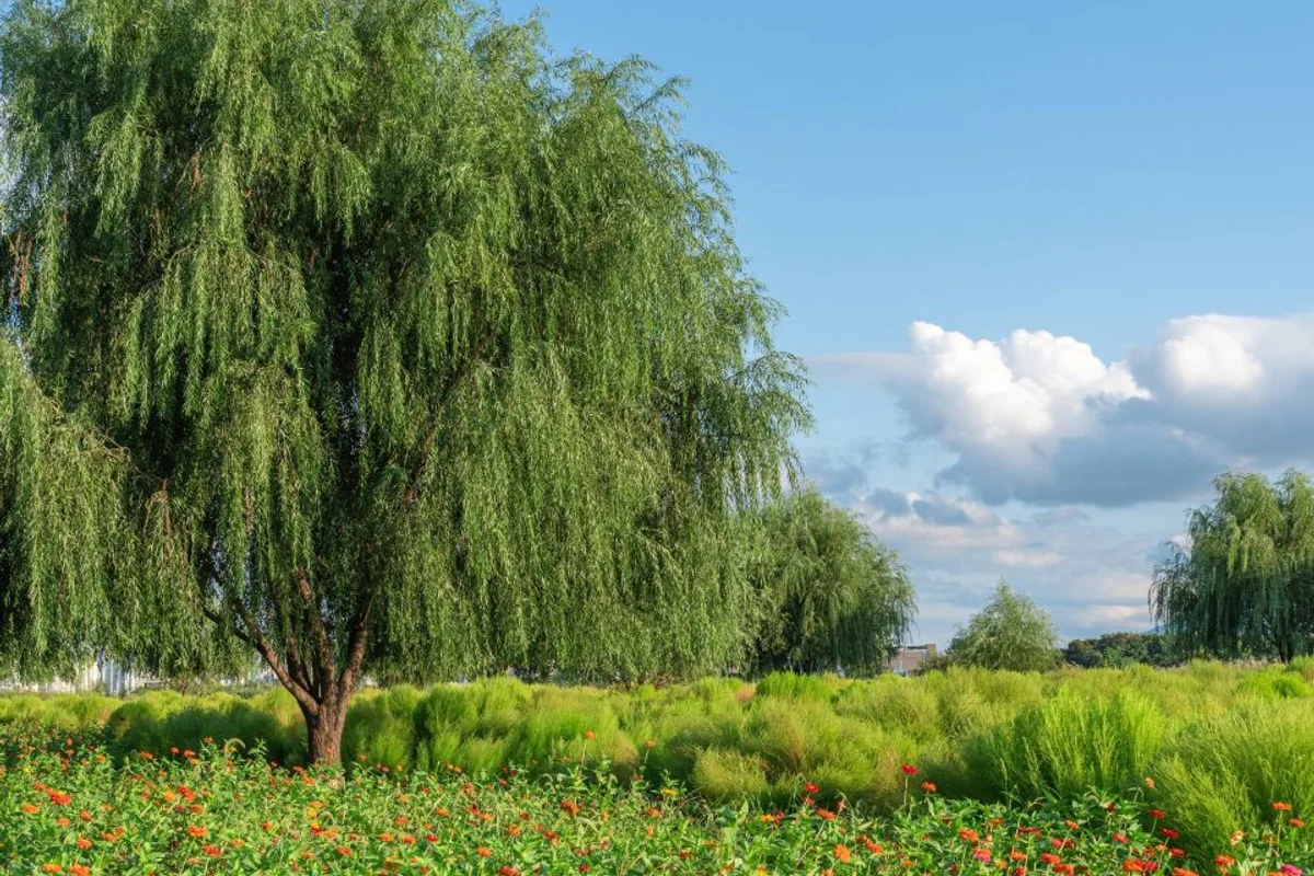 침산공원 - 대구여행 여행