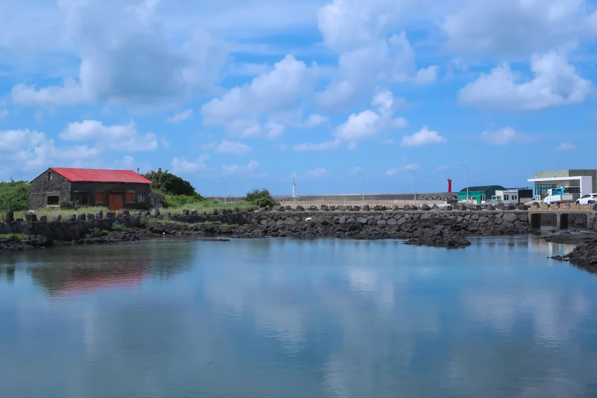 김녕항 - 김녕반려견동반 여행