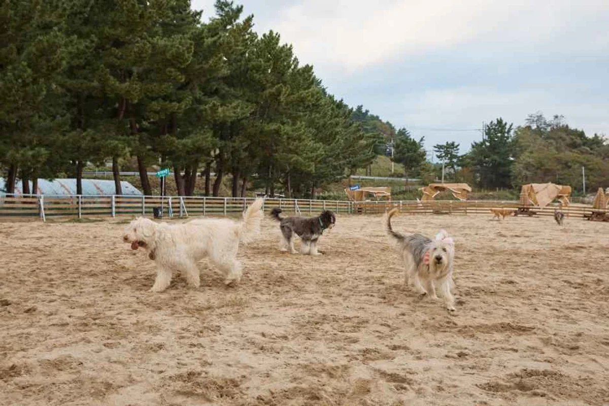 광주천 물놀이장 주변 - 광주천 여행
