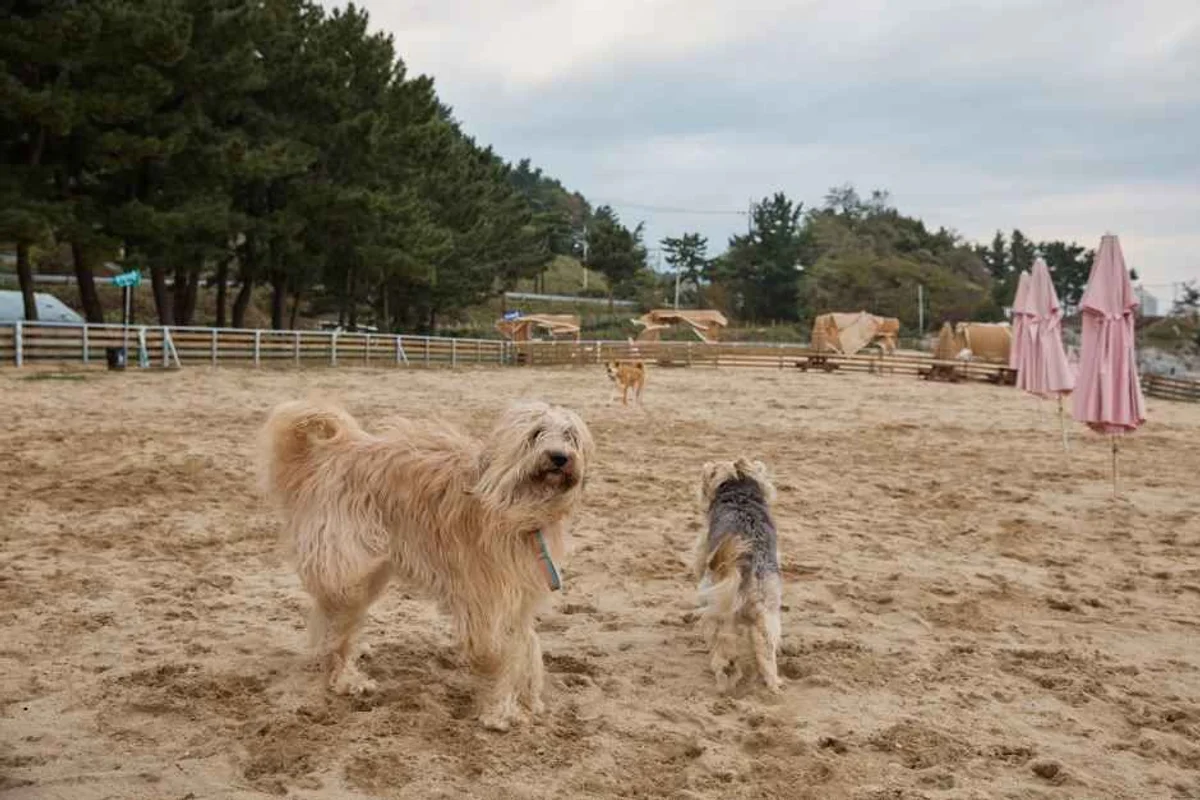 광주 동명동 카페거리 인근 광주천변 - 광주천 여행