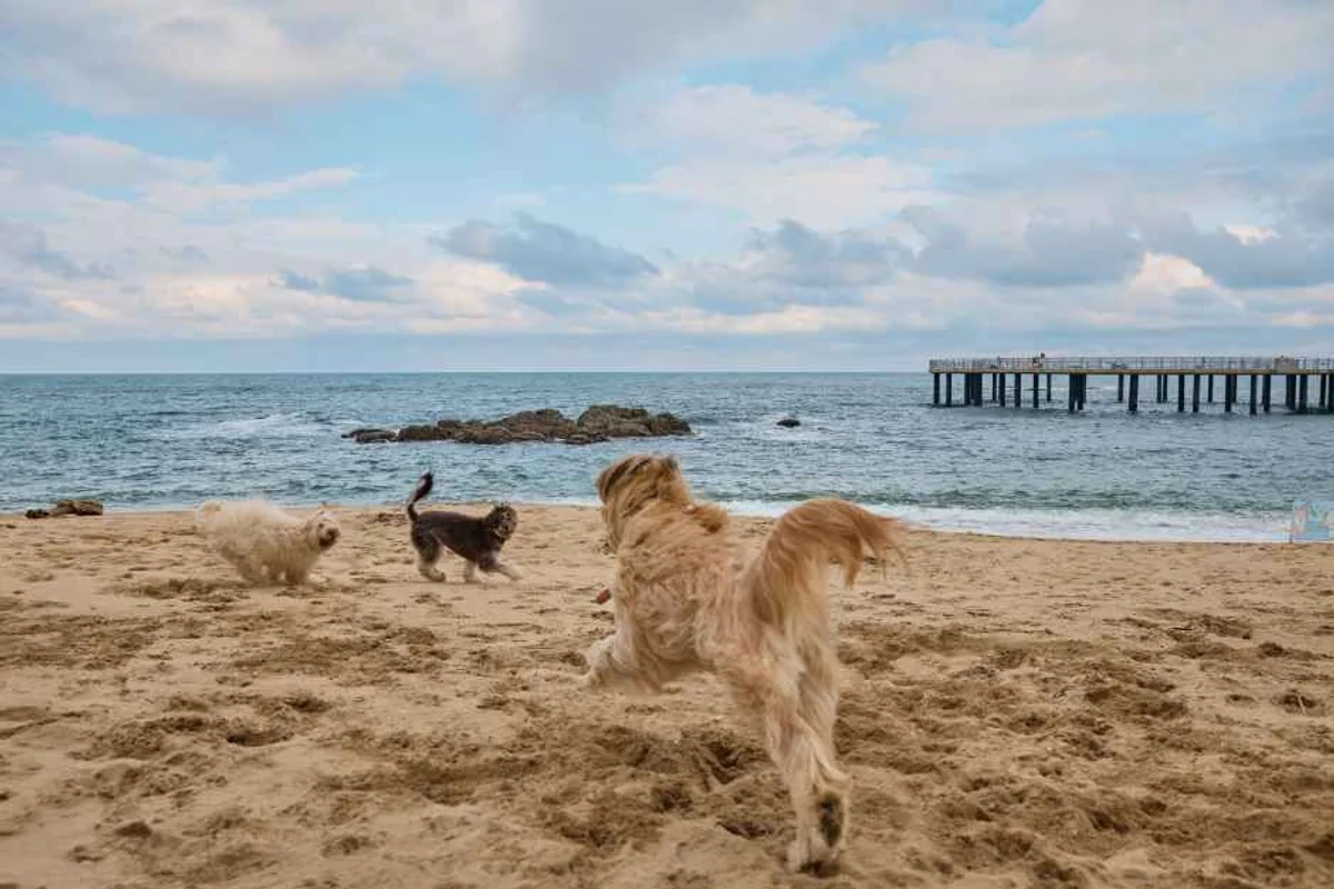 광주천 영산강 합류 지점 - 광주천 여행