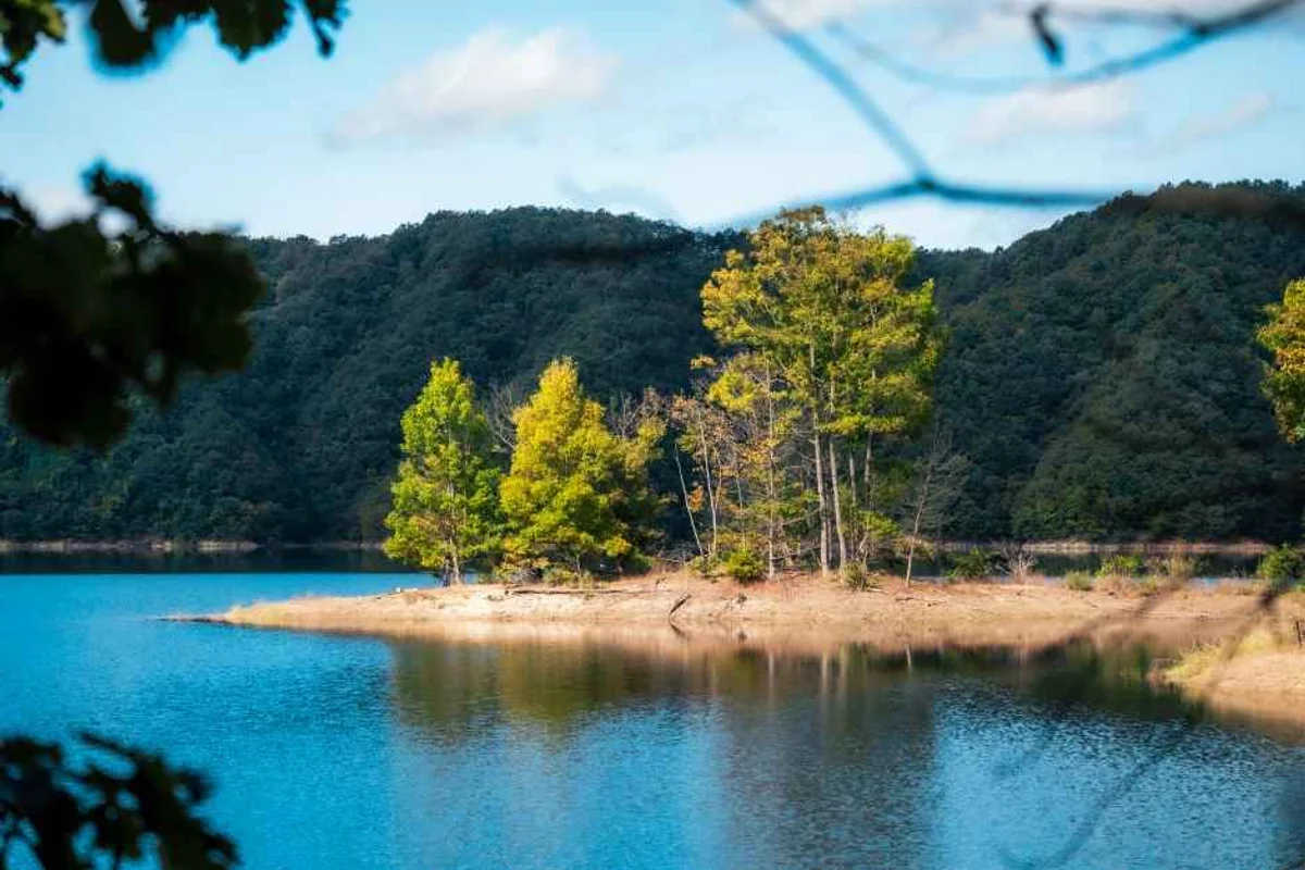 국립청태산자연휴양림 - 횡성여행 여행