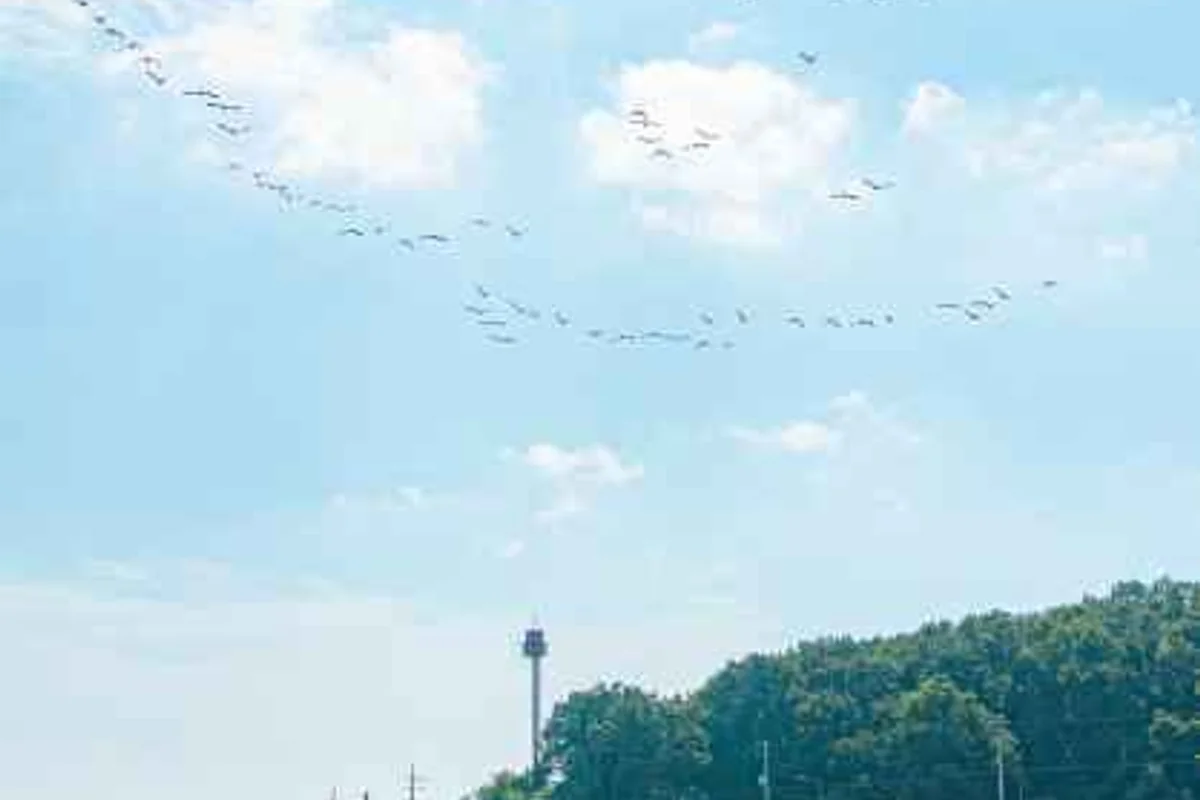 인천 공연 (출처 : 한국관광공사)