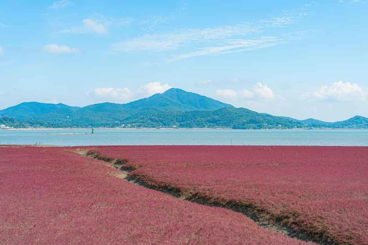 아사쿠사 센소지 - 인천도쿄비행기 여행
