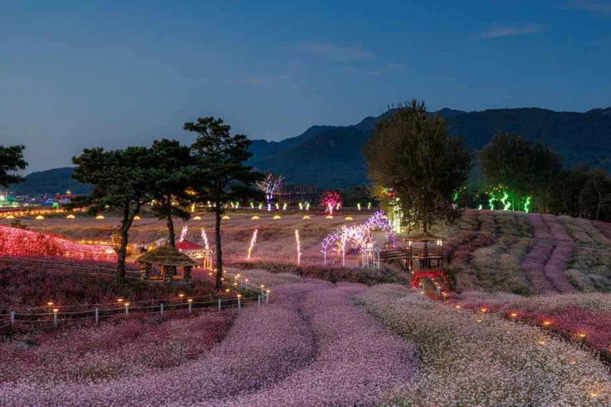 보림공원 - 장림야경 여행