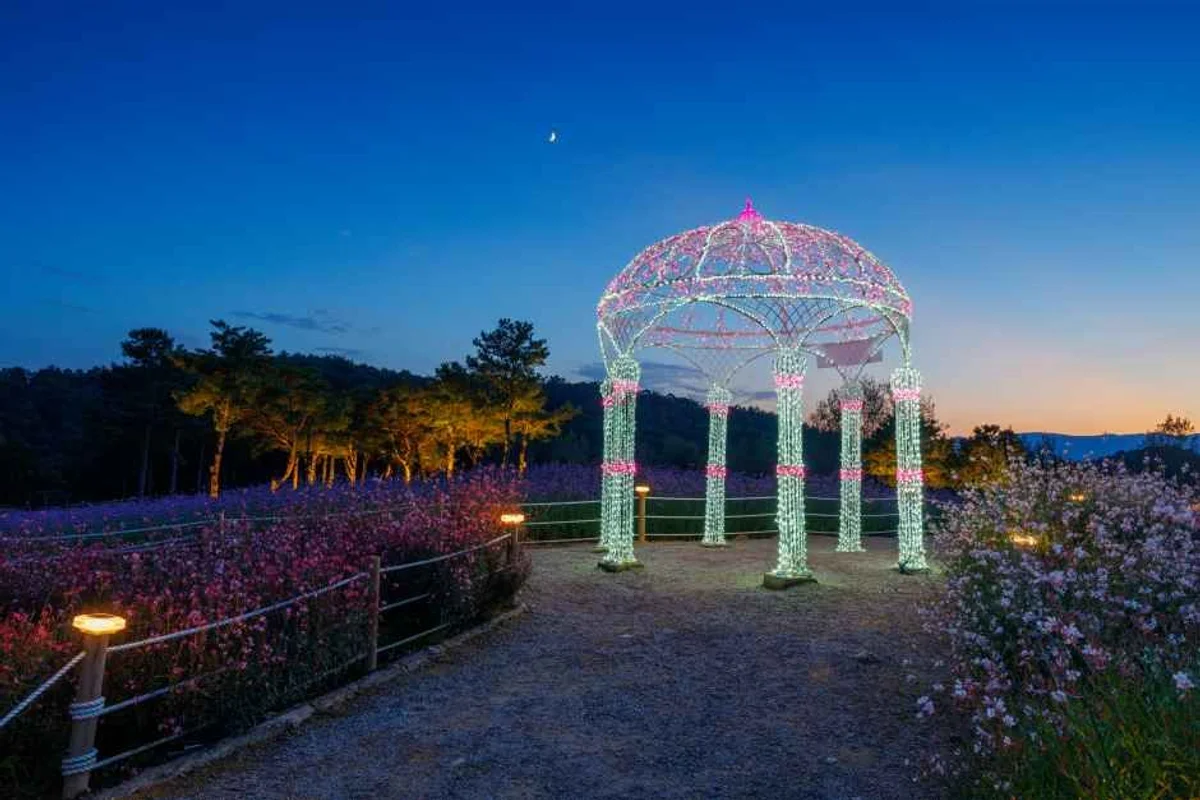 놀핏 - 장림야경 여행