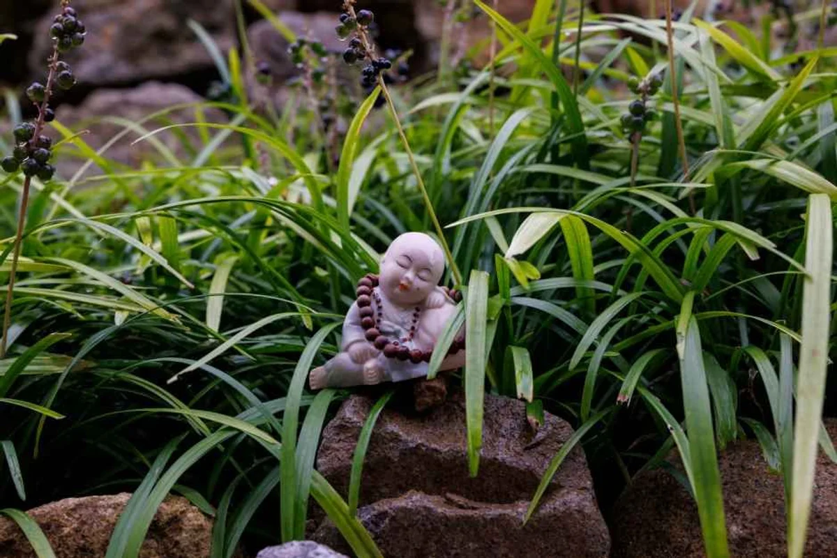 양양보드파크 - 양양여행 여행