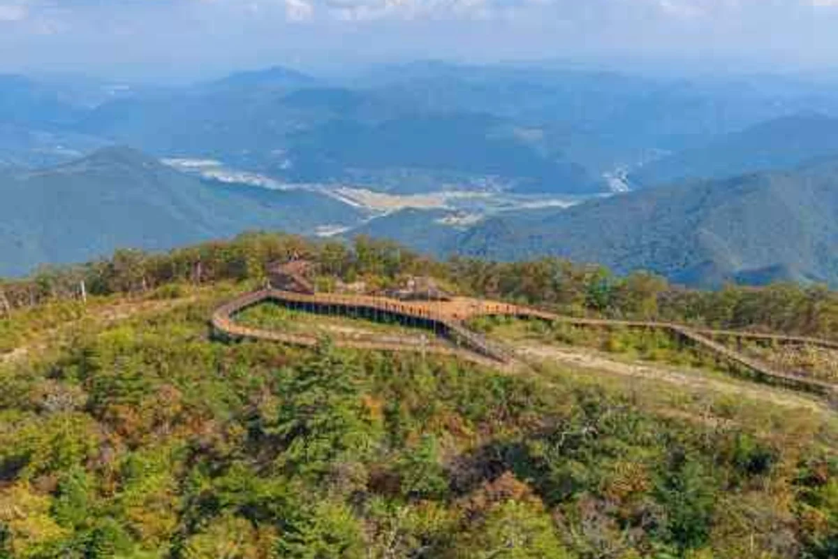 노원구 여행지 추천: 화랑대 철도공원 - 노원구 여행