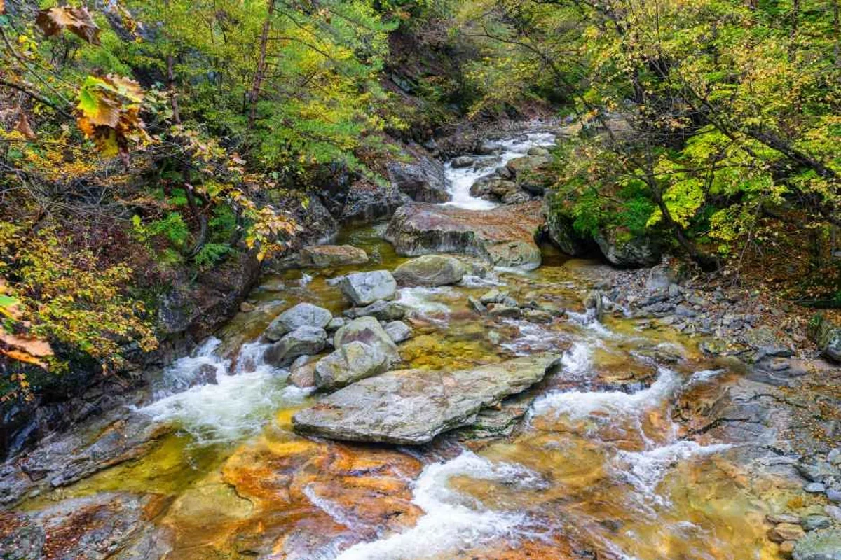 설악산 방문 후기 대표 코스: 설악케이블카 - 설악산 여행
