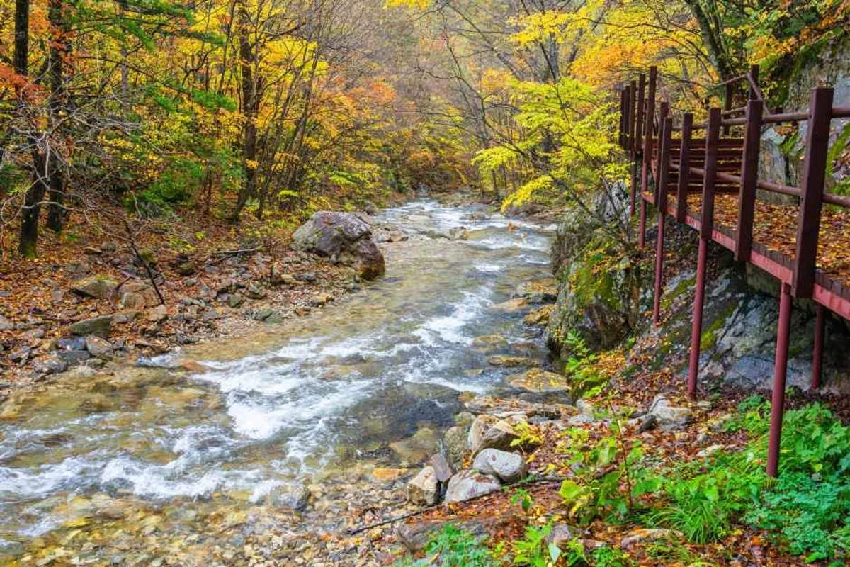 가산이효석생가 - 평창 여행