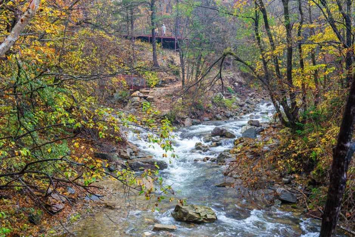 이효석문학의숲 - 평창 여행