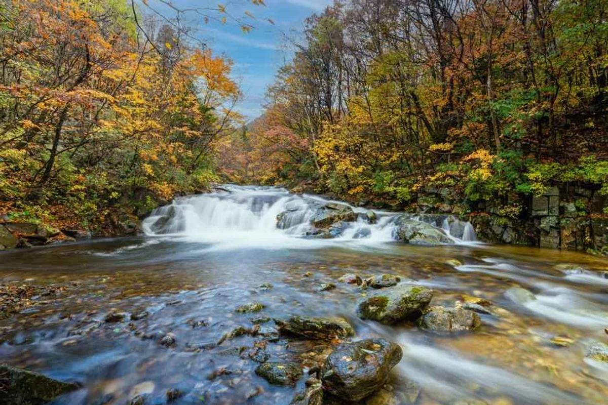 대관령 삼양라운드힐 - 평창 여행