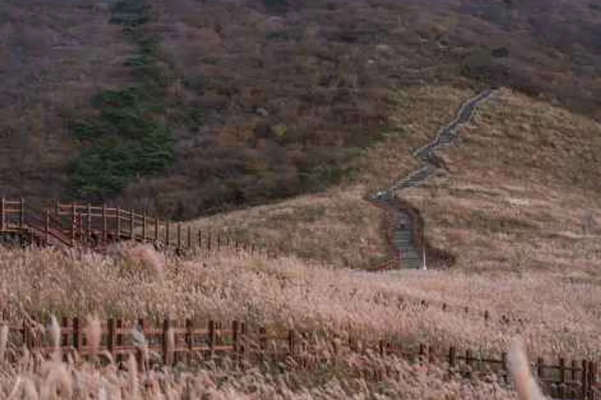 영남알프스 복합웰컴센터 - 울주여행 여행