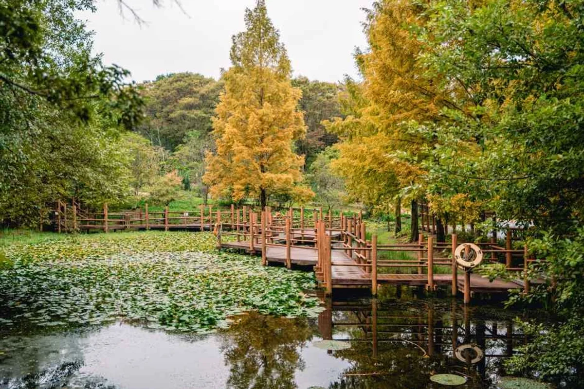 진주 컨트리클럽 - 진주시골프장 여행