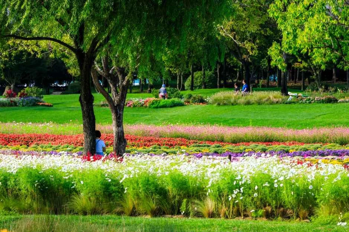 순천만국가정원 테라피가든 - 순천만국가정원 여행