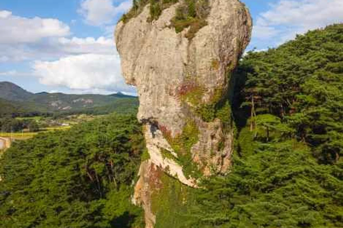 알파카월드 - 홍천여행 여행