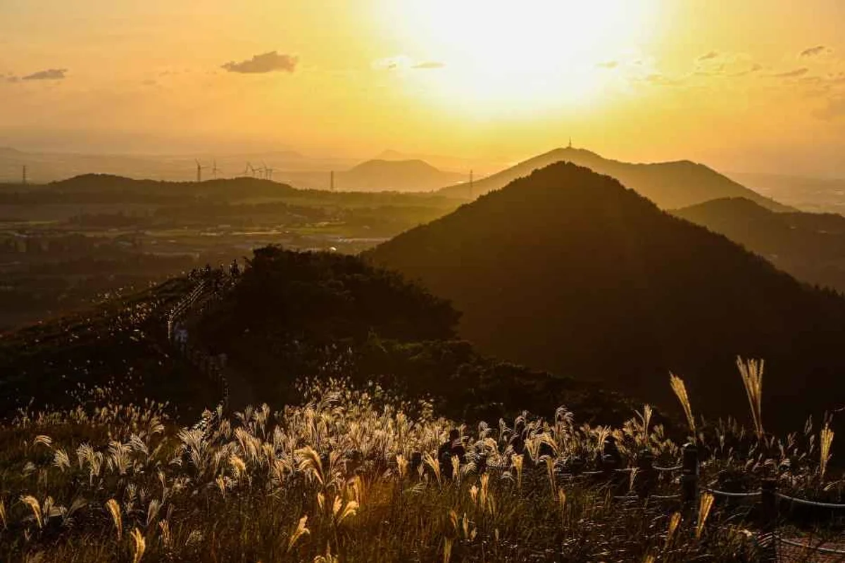 일몰 시간 제주 어영공원 - 제주 여행