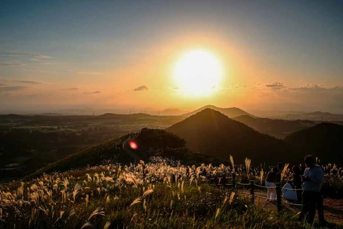 대평포구 박수기정 - 제주 여행
