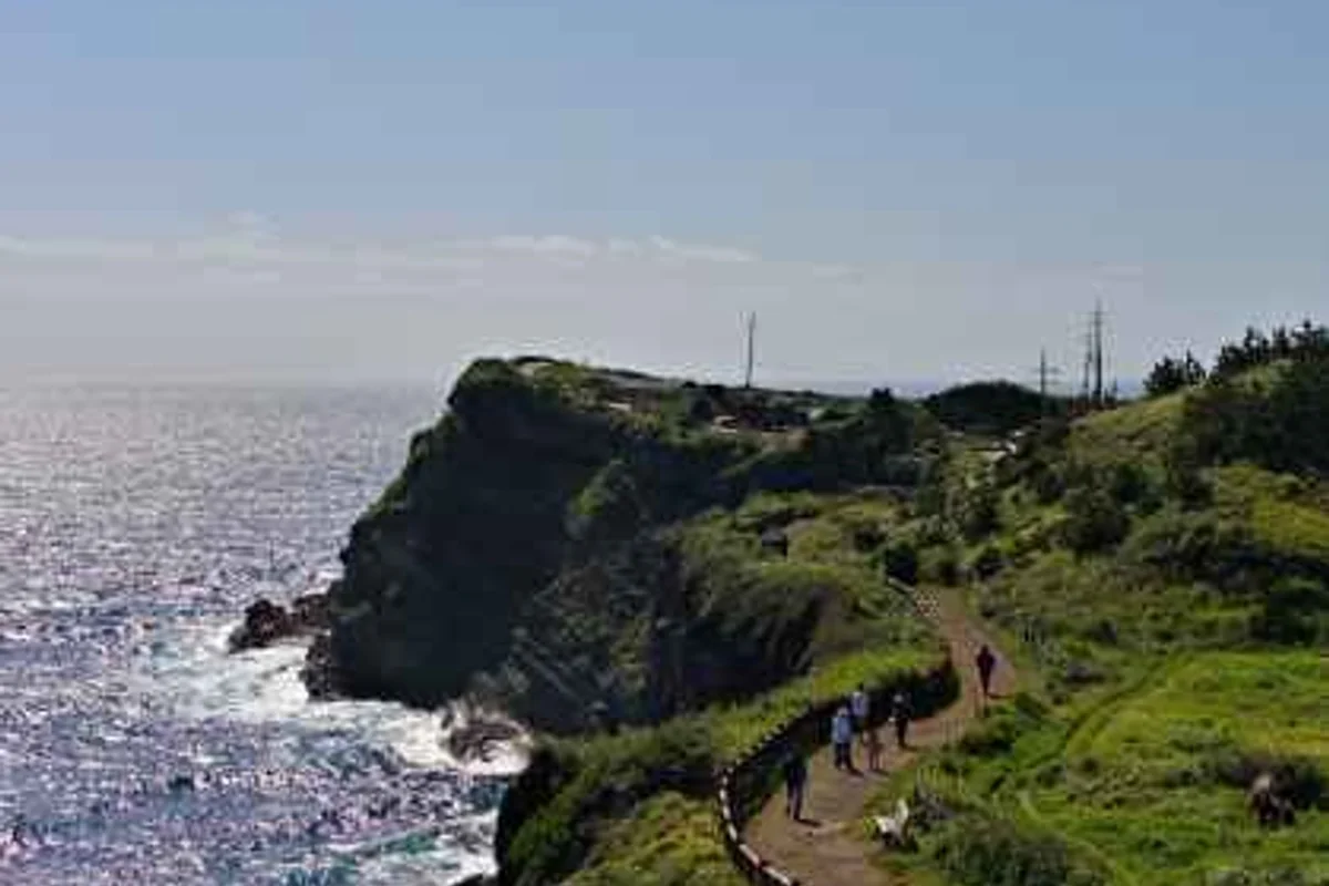 안산 효도여행, 부모님과 함께하는 봄날의 특별한 추억 - 안산효도여행 여행
