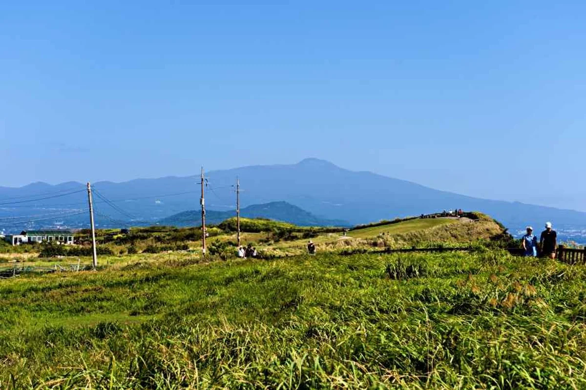한라산 게스트하우스 오르다하우스 - 한라산 여행
