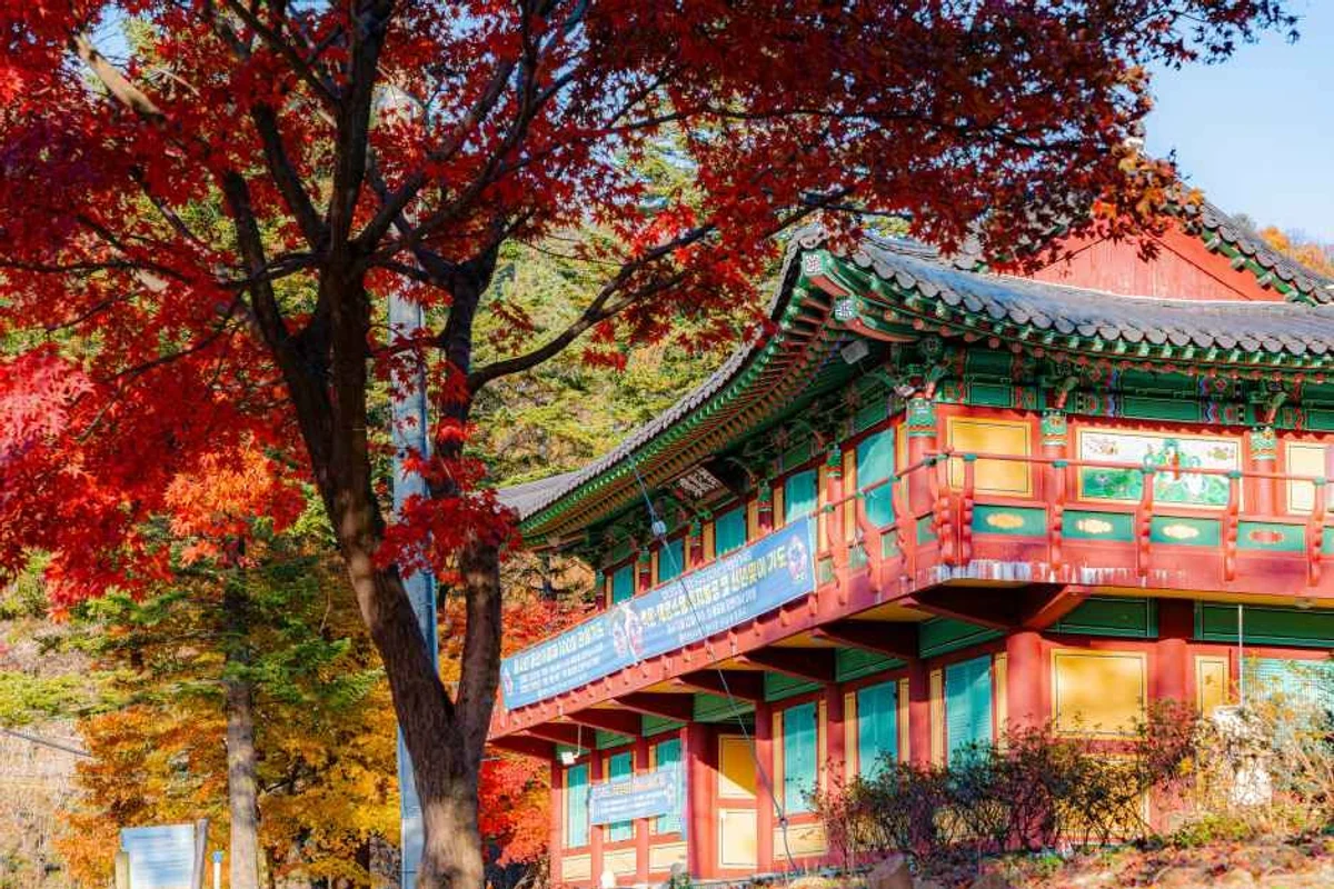 남양주시 당일치기 (출처 : 한국관광공사)