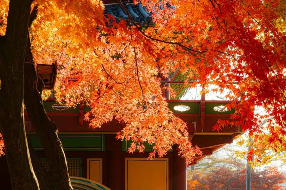 금광호수 하늘전망대 - 경기만추여행 여행