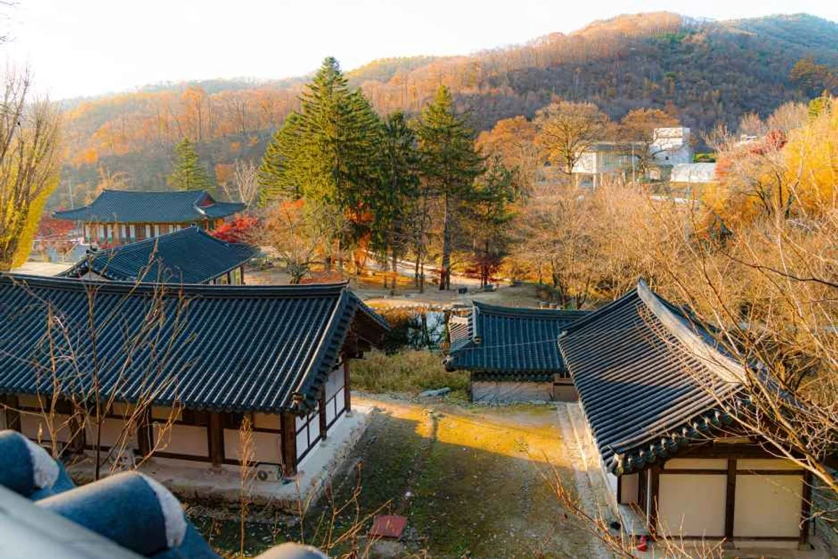 에버랜드 - 경기만추여행 여행