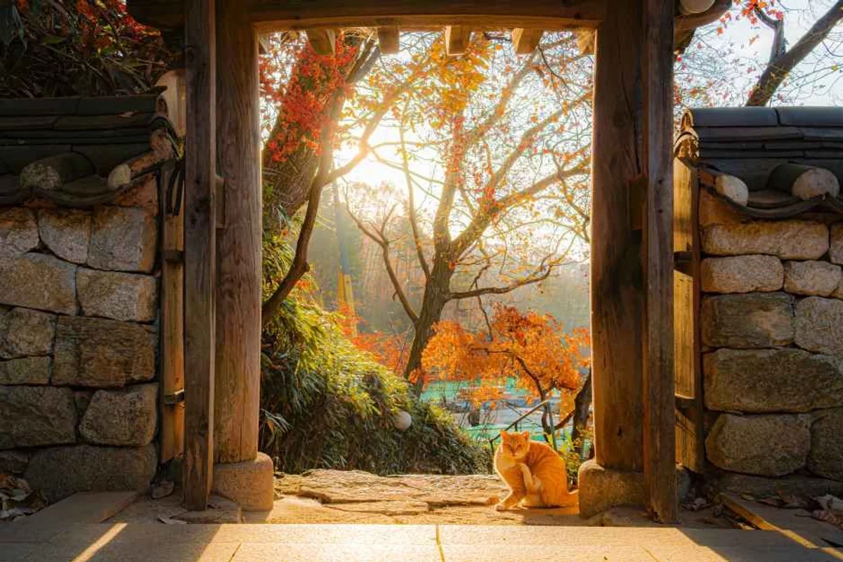 고양 모텔 (출처 : 한국관광공사)